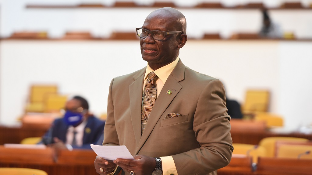 Local Government Minister tables temporary amendment to ...