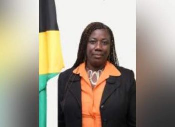 Local Government and Rural Development Minister Mourns Passing of Councillor Yvonne McCormack