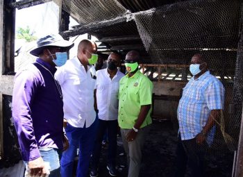 Renovation of Highgate Market to be done on phased basis