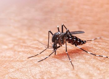 MINISTRY OF LOCAL GOVERNMENT AND COMMUNITY DEVELOPMENT JOINS EFFORT TO CONTAIN DENGUE