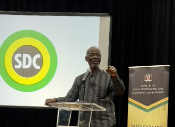 Institutional strengthening for SDC