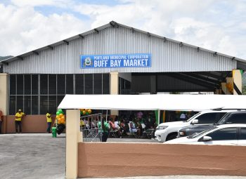 MINISTER OF LOCAL GOVERNMENT LEADS EFFORT TO MODERNISE MARKETS ACROSS JAMAICA